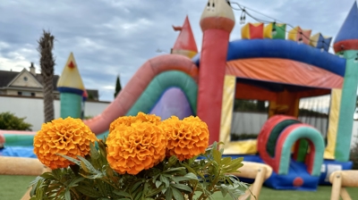 Flowers Photo
