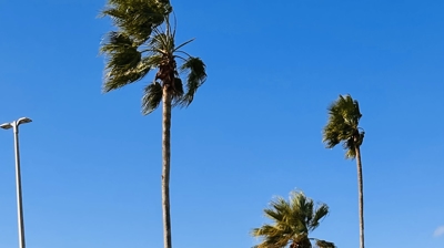 Chorpus Christi PRIDE Event Photo