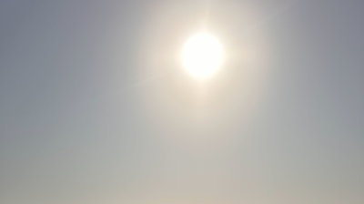 Beach Clean Up Photo