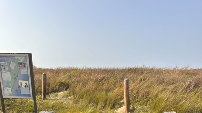 Beach Clean Up Photo