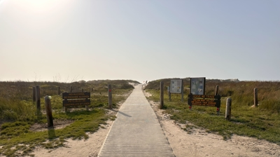 Beach Clean Up Photo