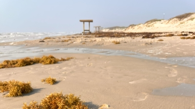 Beach Clean Up Photo