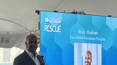 2023 - Sea Turtle Hospital Opening - Aquarium Photo