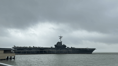 2023 - Sea Turtle Hospital Opening - Aquarium Photo