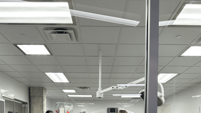 2023 - Sea Turtle Hospital Opening - Aquarium Photo