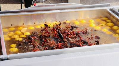 HMG CRAWFISH FOR A CAUSE 2023 Photo