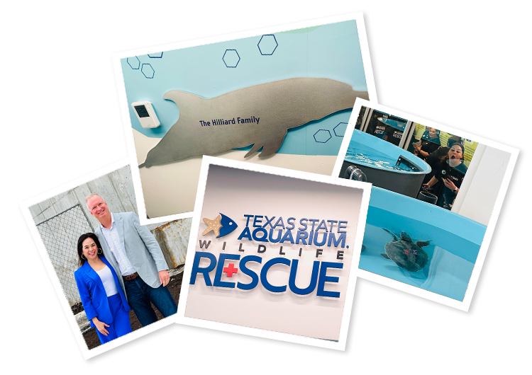 Texas State Aquarium & Wildlife Rescue Center