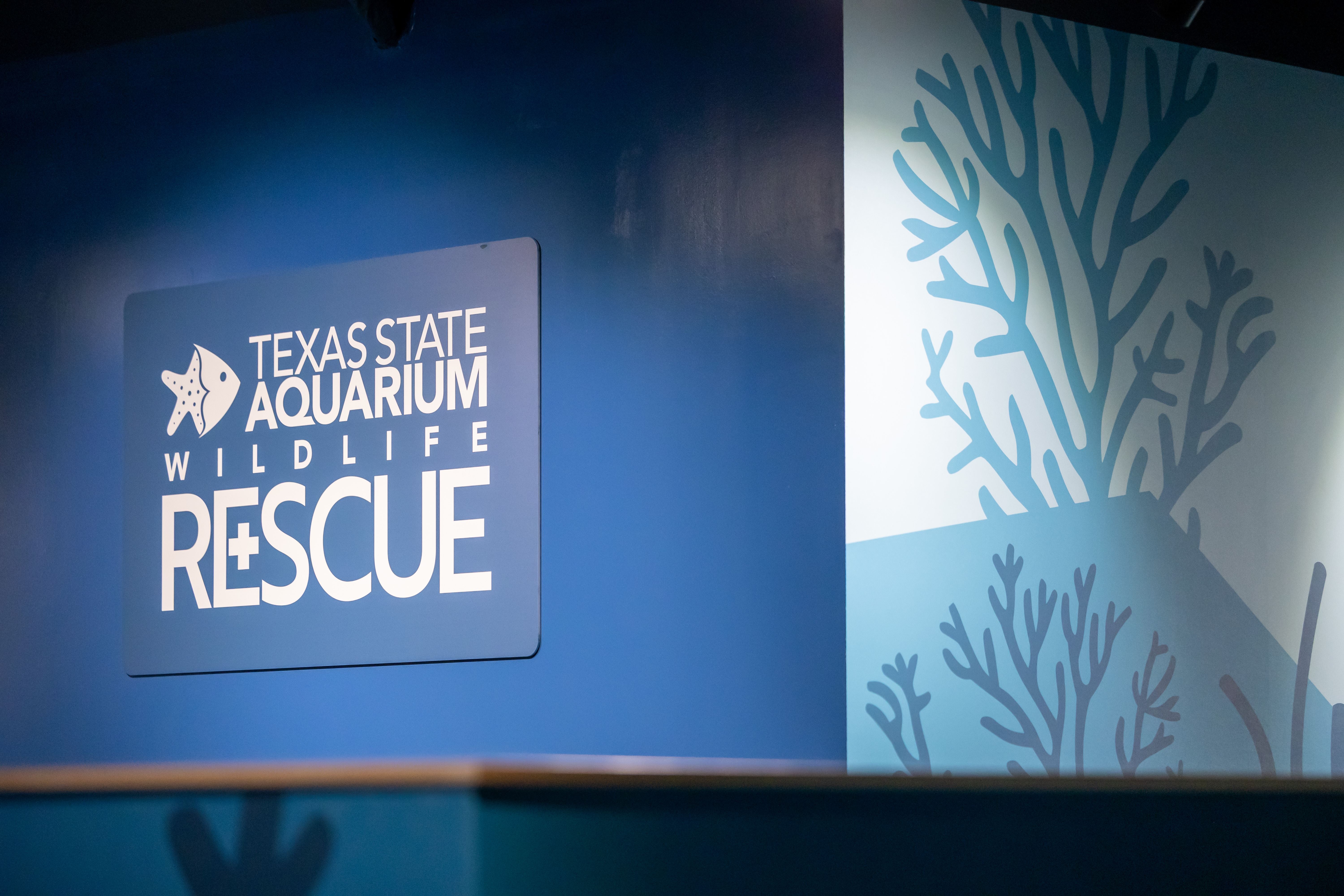 aquarium